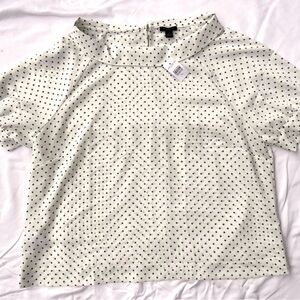 Ann Taylor Factory Polka Dot Short Sleeve Blouse